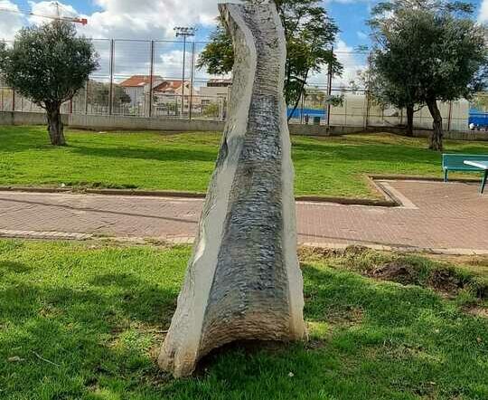 פסל קליפת העץ