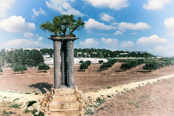 פסל עמודי הזית – קיבוץ רמת רחל